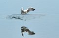 30.9.2012 Saline di Priolo (292)